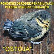 Ostoja Grafika Ostoja