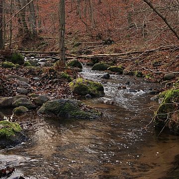 „Dolina Zagórskiej Strugi” uznana za rezerwat przyrody! Grafika „Dolina Zagórskiej Strugi” uznana za rezerwat przyrody!