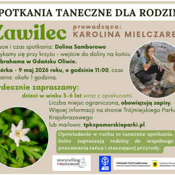 Spotkania taneczne dla rodzin Grafika Spotkania taneczne dla rodzin