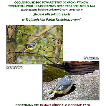 Spotkanie Trójmiejskiej Grupy Ogólnopolskiego Towarzystwa Ochrony Ptaków Grafika Spotkanie Trójmiejskiej Grupy Ogólnopolskiego Towarzystwa Ochrony Ptaków