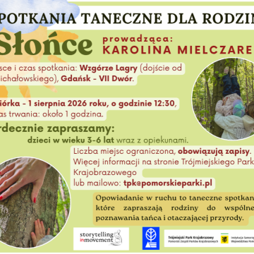 Warsztaty taneczne Słońce Grafika Warsztaty taneczne Słońce